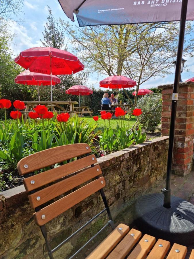 The Three Horseshoes East Worldham オールトン エクステリア 写真